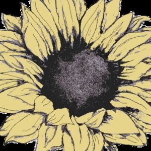 Meet your Posher, Cecilia